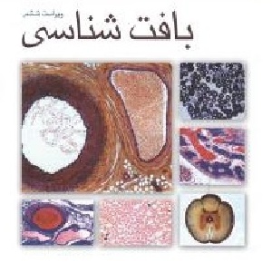 جزوه بافت شناسی ( دست نویس )