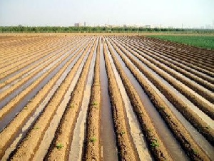 پاورپوینت آبیاری کرتی Flooding irrigation تعداد 27 اسلاید