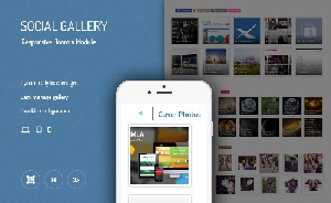 JUX Social Gallery 1.0.5
