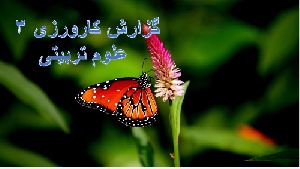 گزارش کارورزی (3) کنش پژوهی علوم تربیتی
