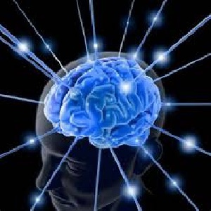 شبکه‌های عصبی مصنوعی (Artificial Neural Network – ANN)