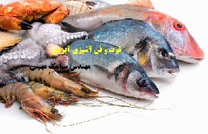 فوت و فن آشپزی آبزیان (The know cooking fish)