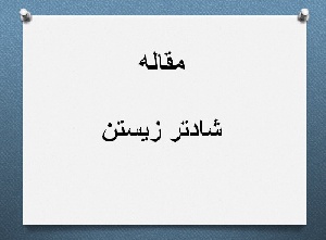 مقاله 12 روش برای شادتر زیستن