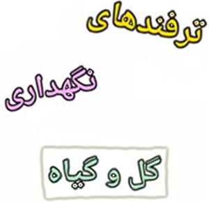 ترفندهای نگهداری و پرورش گل و گیاه