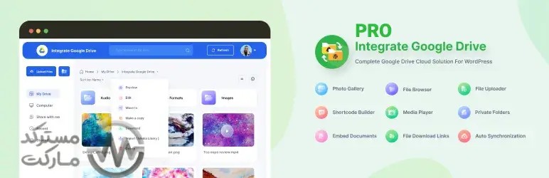 دانلود افزونه Integrate Google Drive Pro برای وردپرس