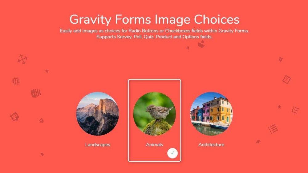 دانلود افزونه Gravity Forms Image Choices