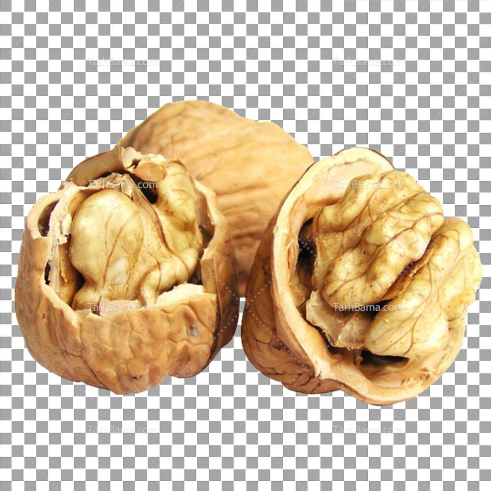 عکس گردو دوربری شده