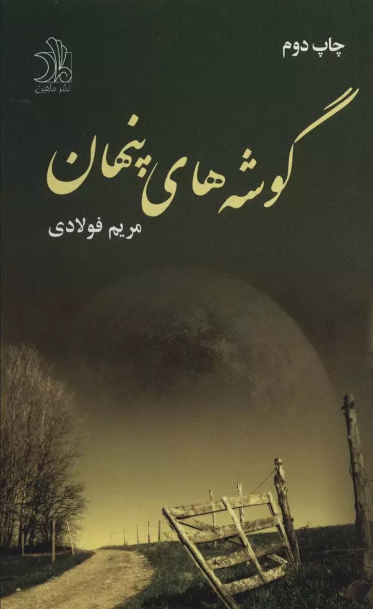 کتاب گوشه های پنهان اثر مریم فولادی 1404