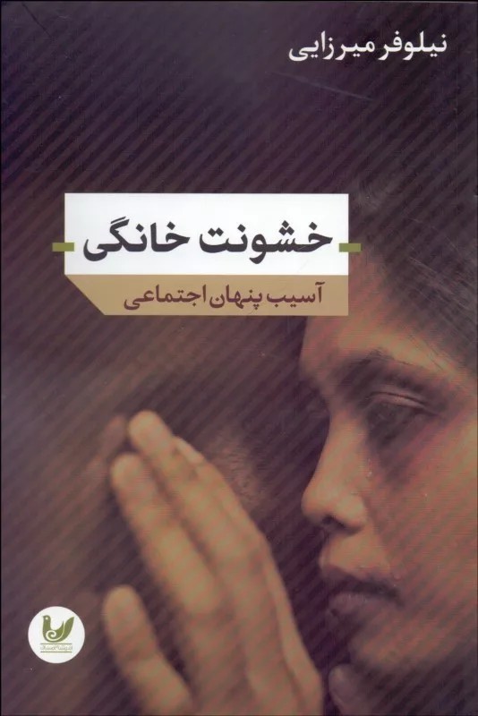 کتاب خشونت خانگی