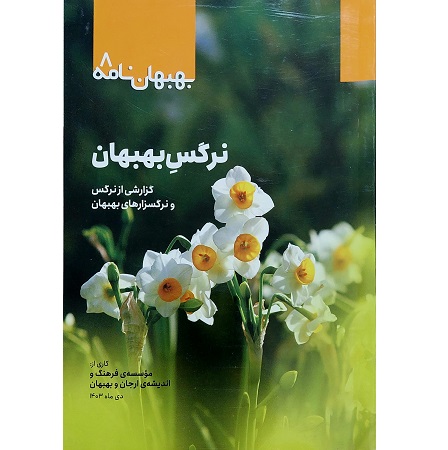 نرگس بهبهان: گزارشی از نرگس و نرگسزارهای بهبهان