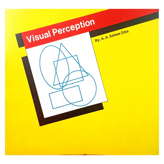 Visual Perception