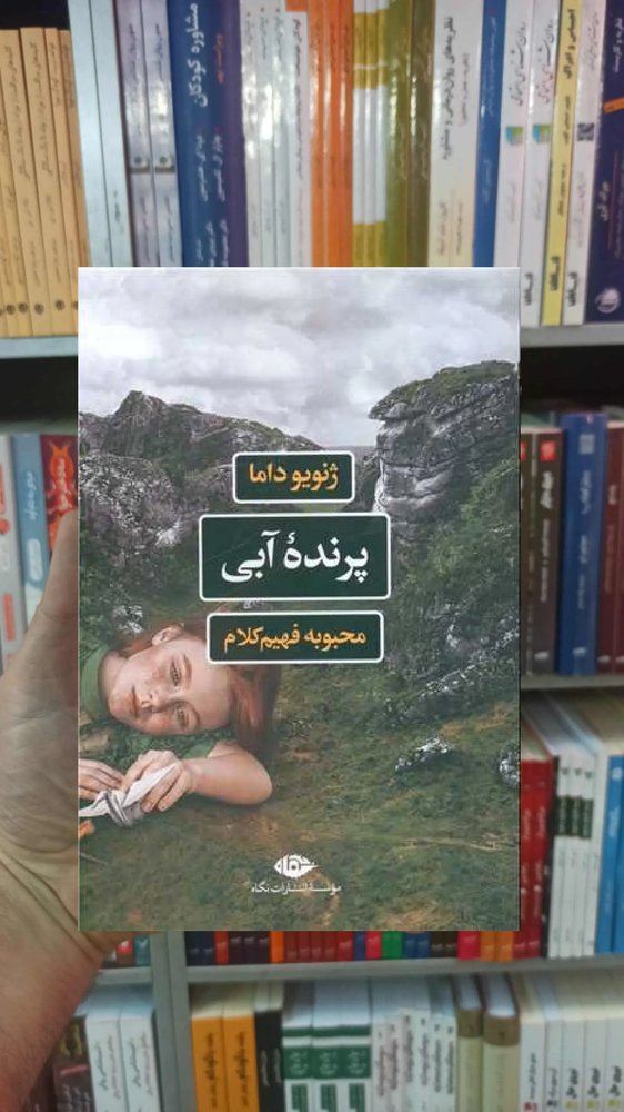 پرنده آبی داما نگاه