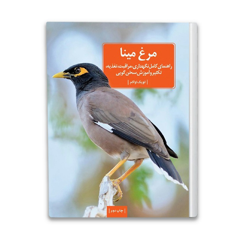 کتاب مرغ مینا