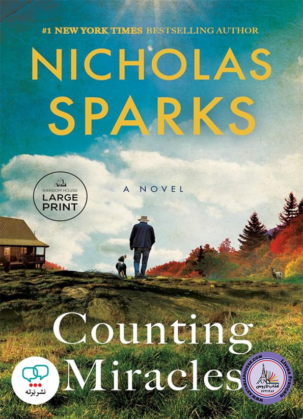 رمان انگلیسی Counting Miracles