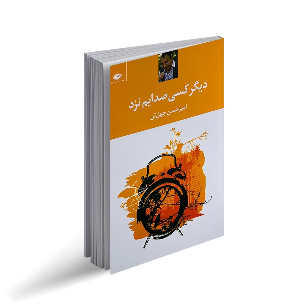 کتاب دیگر کسی صدایم نزد