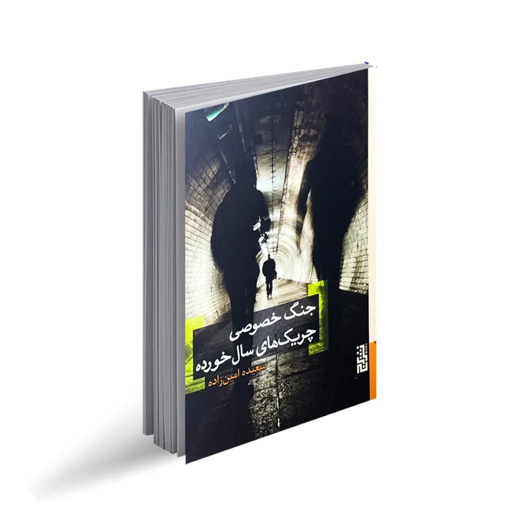 کتاب جنگ خصوصی چریک های سال خورده