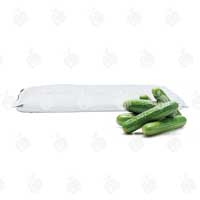 Cucumber Grow Bag