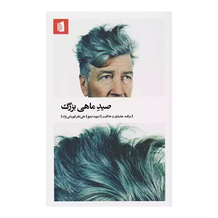 کتاب صید ماهی بزرگ - آرادبوک