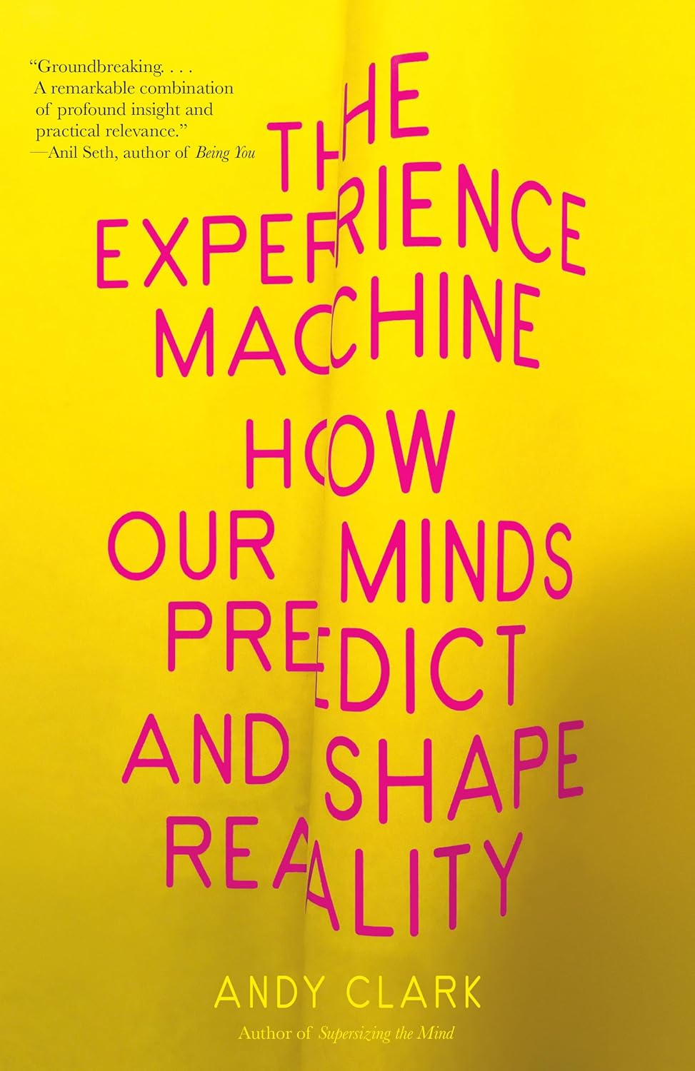 The Experience Machine: How Our Minds Predict and Shape Reality