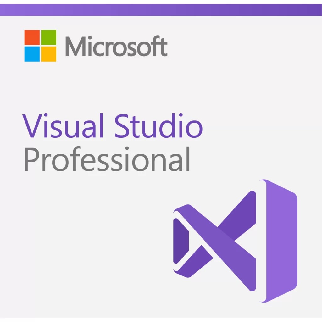 Visual Studio Professional 2022