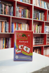 Flashcard Super Safari 2