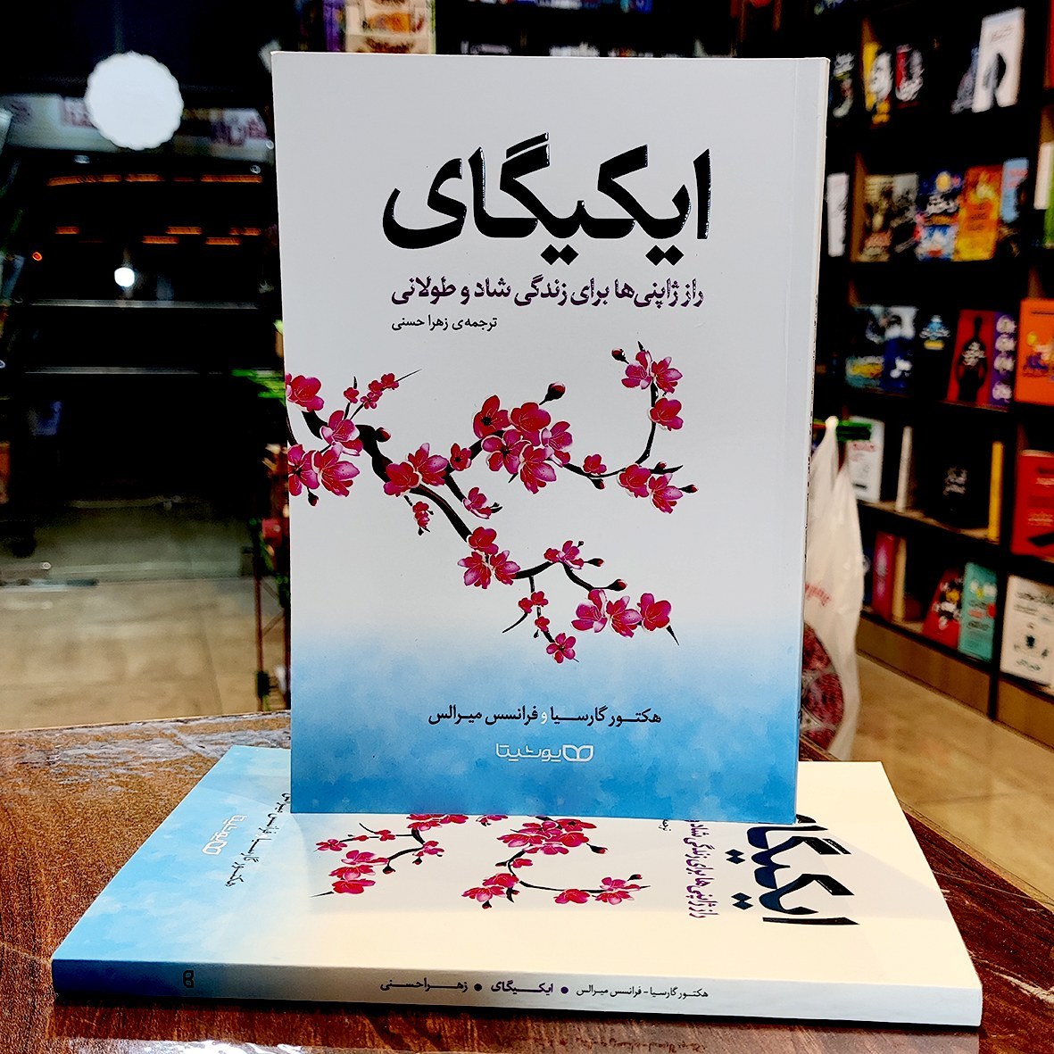 کتاب ایکیگای-هکتور گارسیا و فرانسس میرالس- زهرا حسنی- نشر یوشیتا
