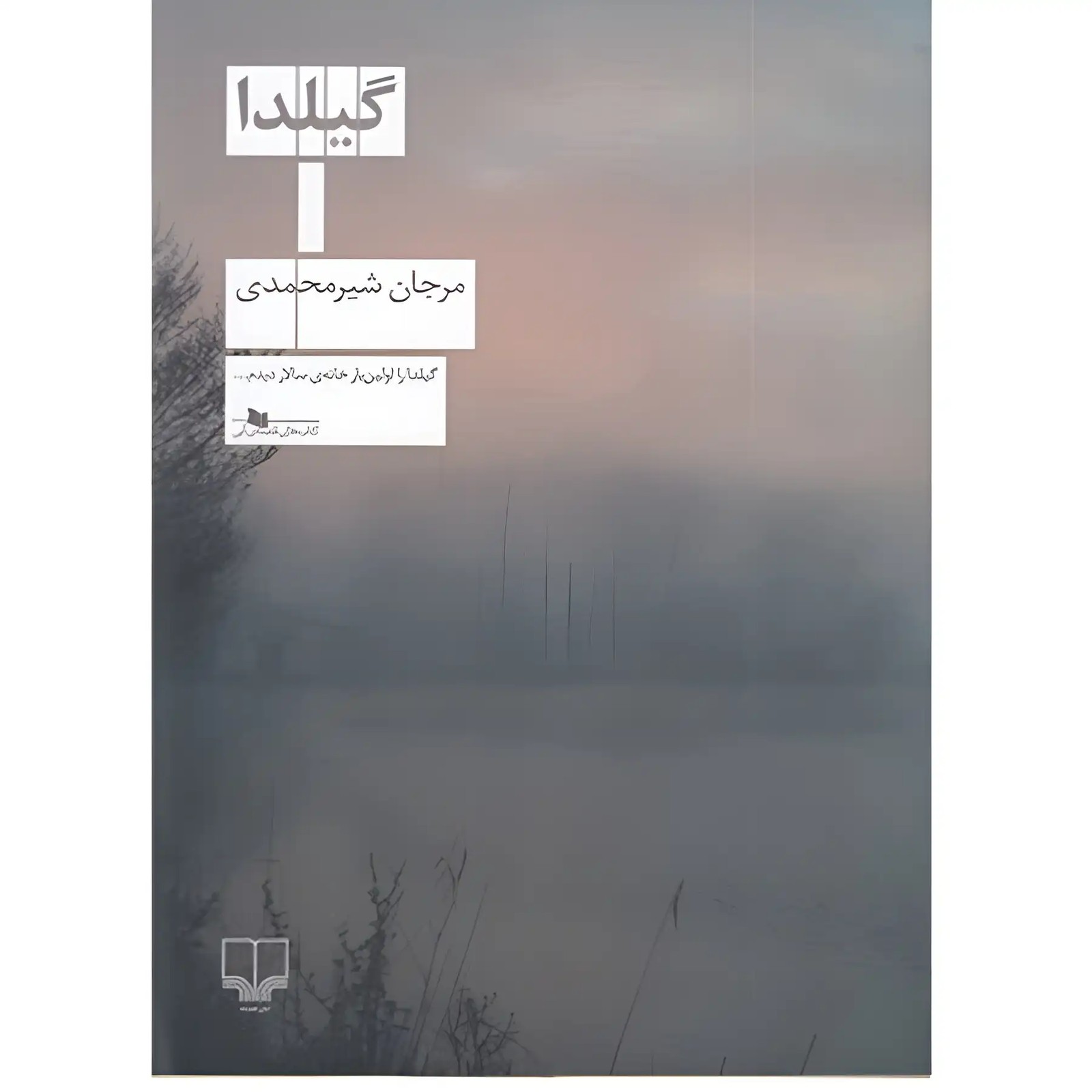 کتاب گیلدا اثر مرجان شیر محمدی