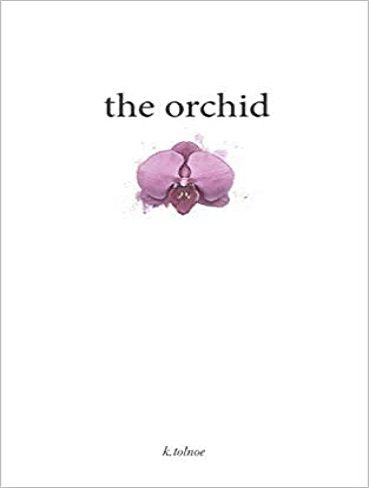 the orchid