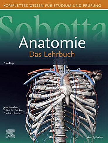 Sobotta Lehrbuch Anatomie کتاب درسی سوبوتا آناتومی (رنگی)