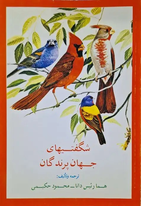 شگفتیهای جهان پرندگان