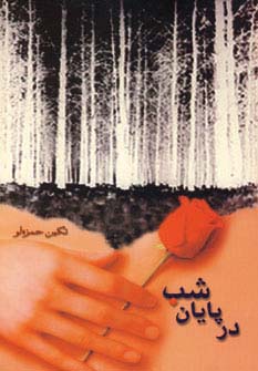 در پایان شب (شمیز،رقعی،شادان)
