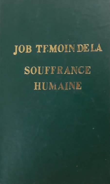 job, temoin de la souffrance humaine