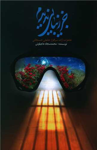 کتاب جز زیبایی ندیدم
