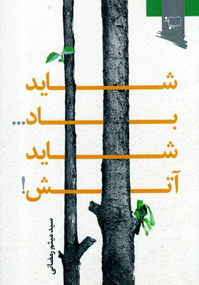 کتاب شاید باد… شاید آتش!