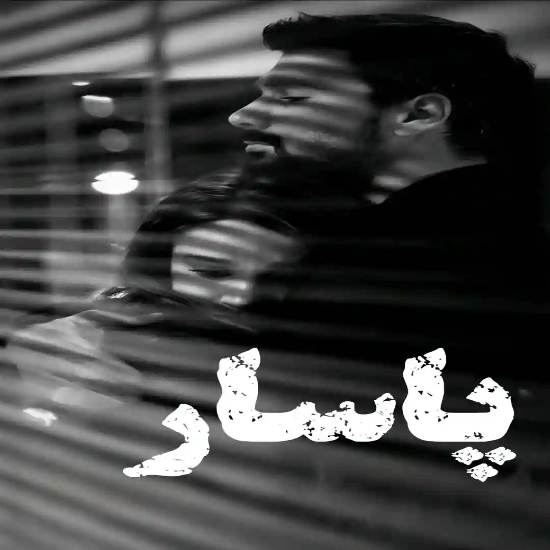 دانلود نسخه کامل رمان پاسار اثر الف کلانتری