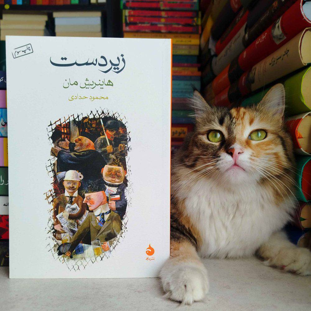 زیردست اثر هاینریش مان (کاغذ سفید)