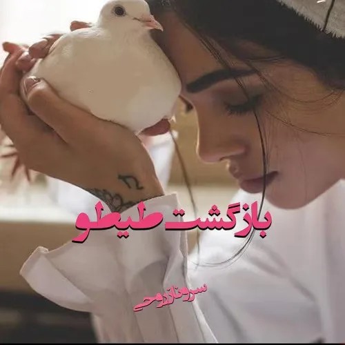 دانلود نسخه کامل رمان بازگشت طیطو اثر سروناز روحی