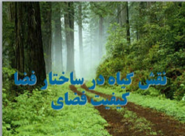 نقش فضای سبز در ساختار فضا کیفیت فضایی