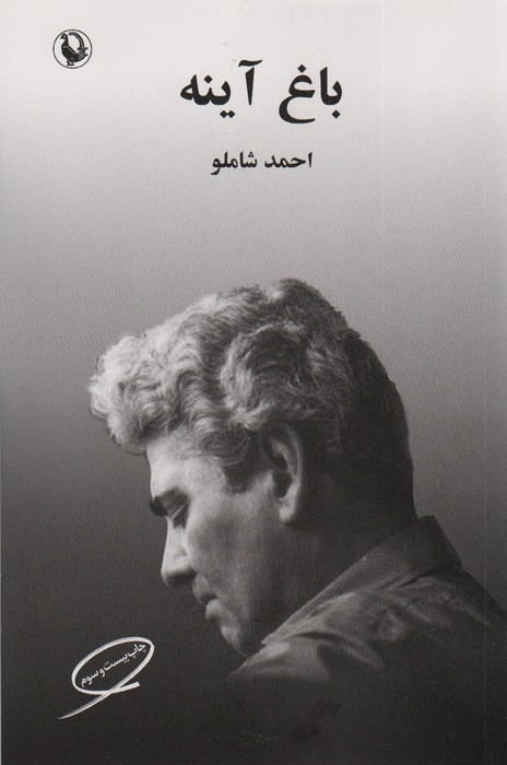 باغ آینه