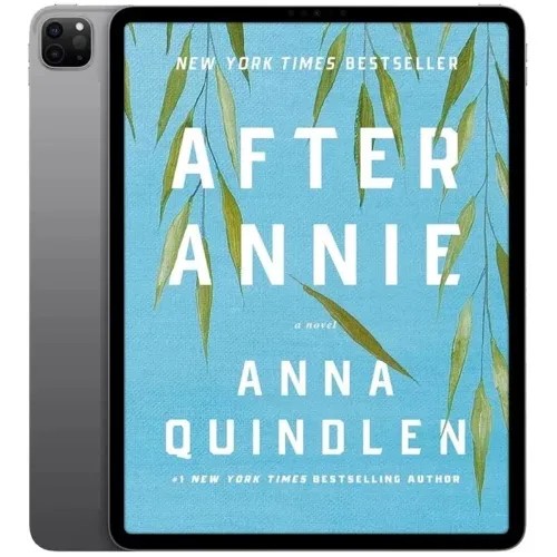 دانلود نسخه کامل کتاب انگلیسی After Annie 2024 | رمان انگلیسی | کتاب PDF خارجی