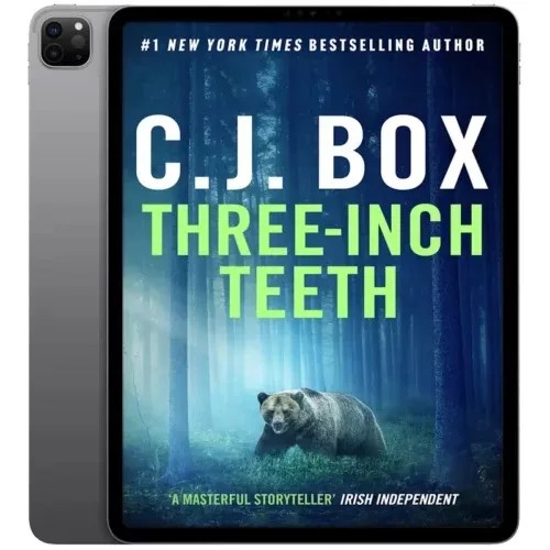 دانلود نسخه کامل کتاب انگلیسی Three Inch Teeth 2024 | رمان انگلیسی | کتاب PDF خارجی