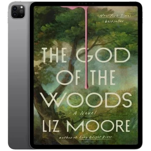 دانلود نسخه کامل کتاب انگلیسی The God of the Woods 2024 | رمان انگلیسی | کتاب PDF خارجی