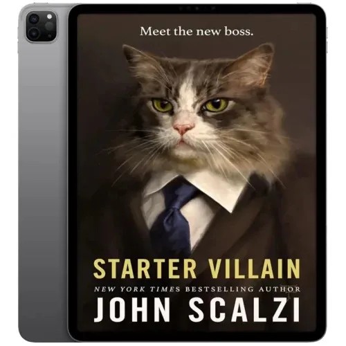 دانلود نسخه کامل کتاب انگلیسی Starter Villain 2023 | رمان انگلیسی | کتاب PDF خارجی
