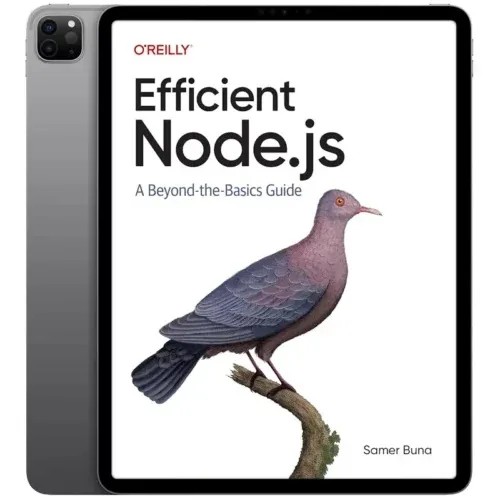 دانلود نسخه کامل کتاب انگلیسی Efficient Node.js 2025 | رمان انگلیسی | کتاب PDF خارجی