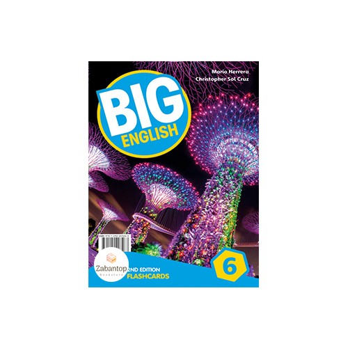 Big English 6 2nd Flashcards