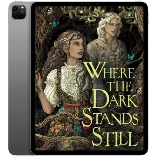 دانلود نسخه کامل کتاب انگلیسی Where the Dark Stands Still 2024 | رمان انگلیسی | کتاب PDF خارجی