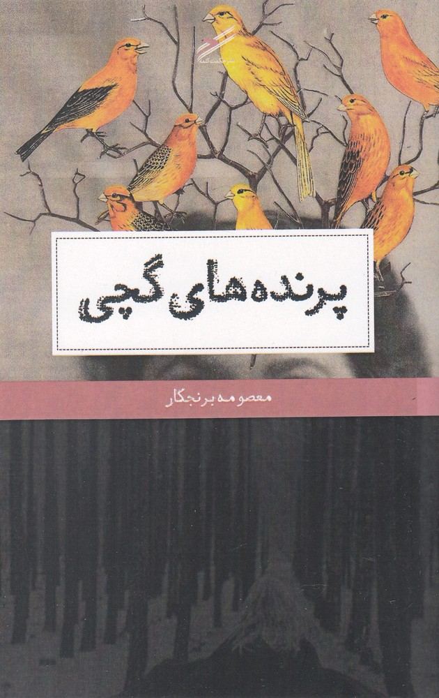 کتاب پرنده های گچی