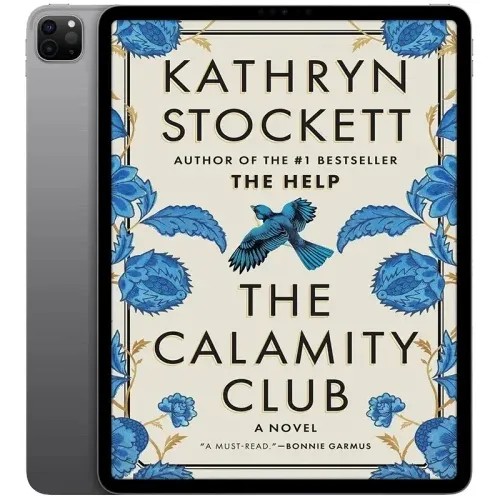 دانلود نسخه کامل کتاب انگلیسی The Calamity Club 2026 | رمان انگلیسی | کتاب PDF خارجی
