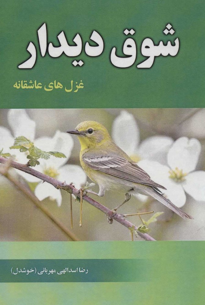 کتاب شوق دیدار