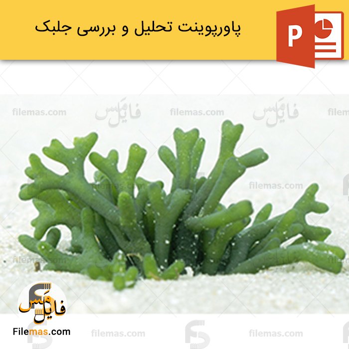 پاورپوینت جلبک ها و بررسی کاربرد آنها - فایلمس